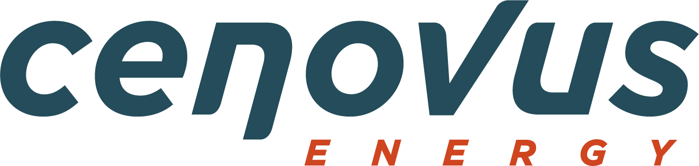2021-CVE-Logo-RGB